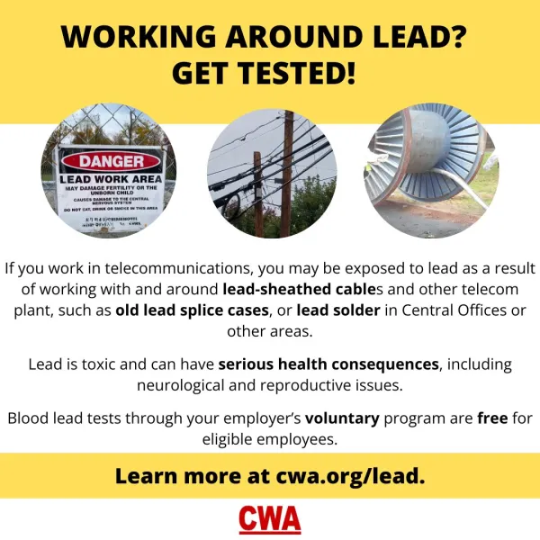 Working Around Lead? Get Tested!